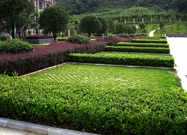 Greening series