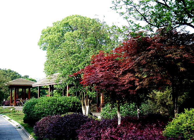 Greening series